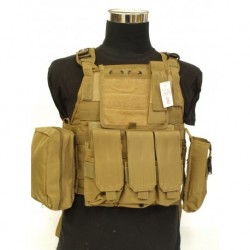Chaleco Plate carrier TAN